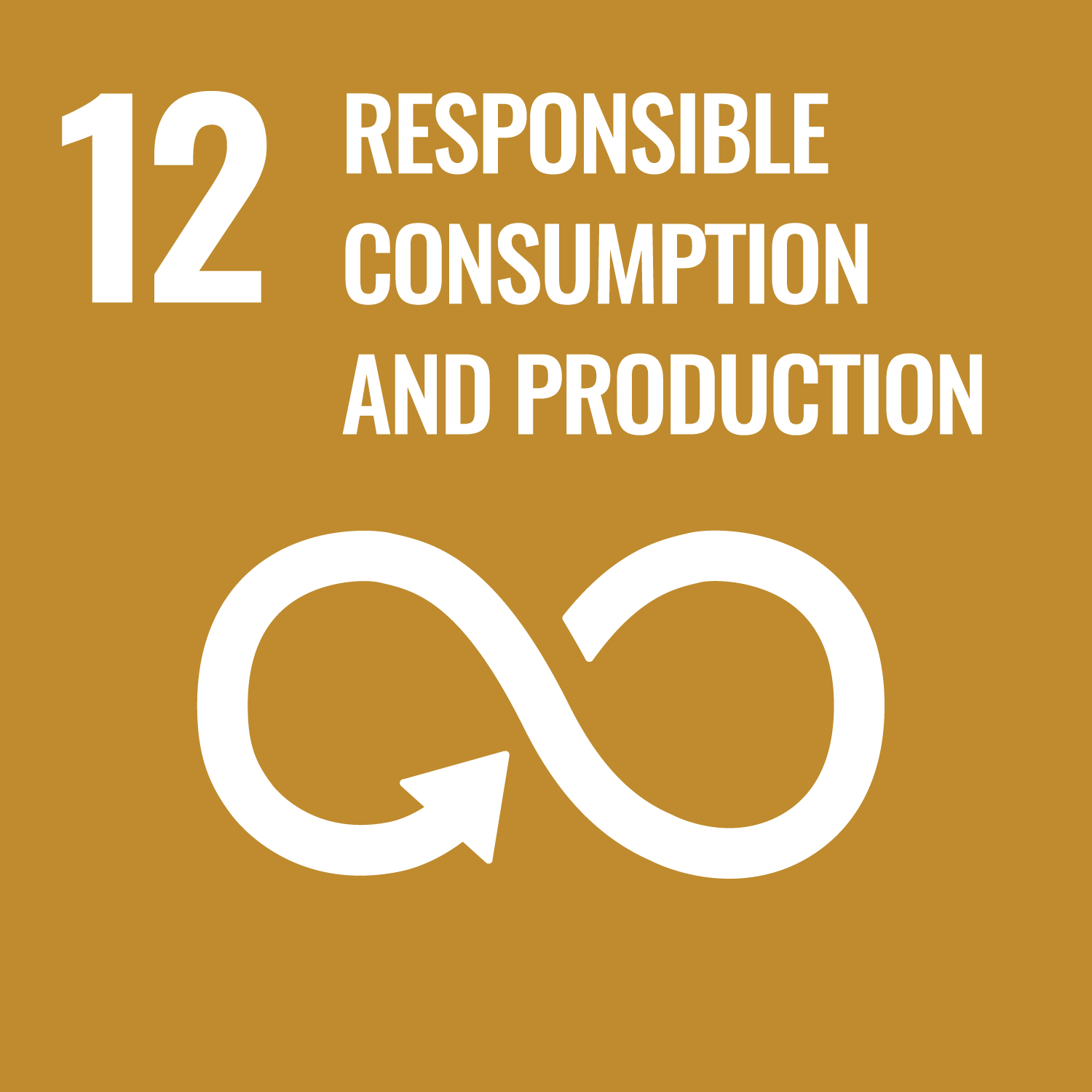 SDG goals icon 12