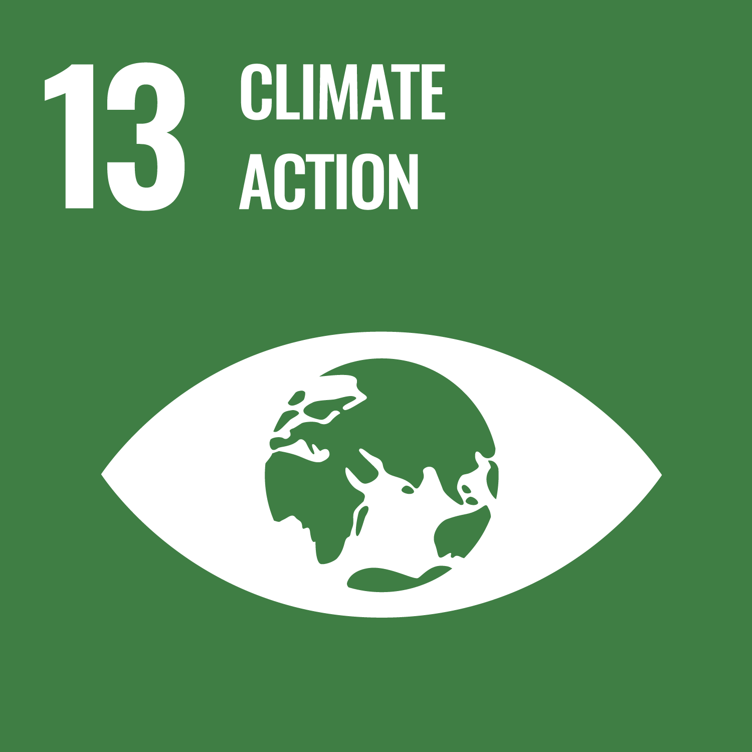 SDG goals icon 13