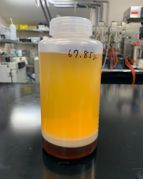 Sample with the creation of SOFORO. The lower layer of liquid is the final result.