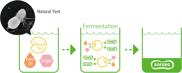 The process of SOFORO creation. Natural yeast, palm oil, and sugar are combined to create SOFORO through fermentation.